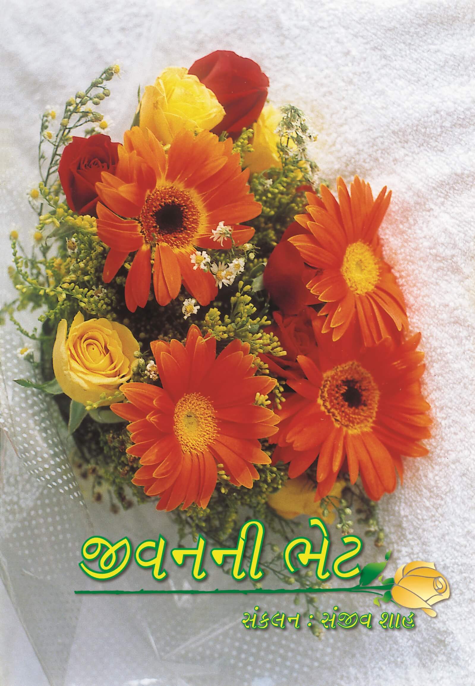 Jeevanni Bhet